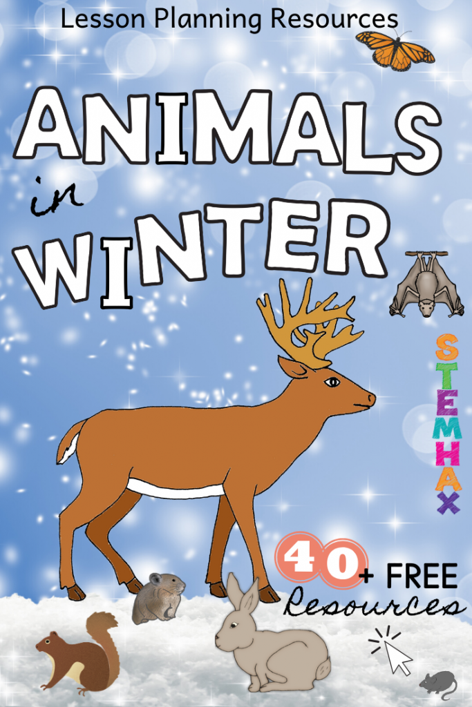 Animals in Winter - FREE Lesson Planning Resources