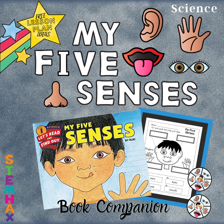 Five Senses Stemhax