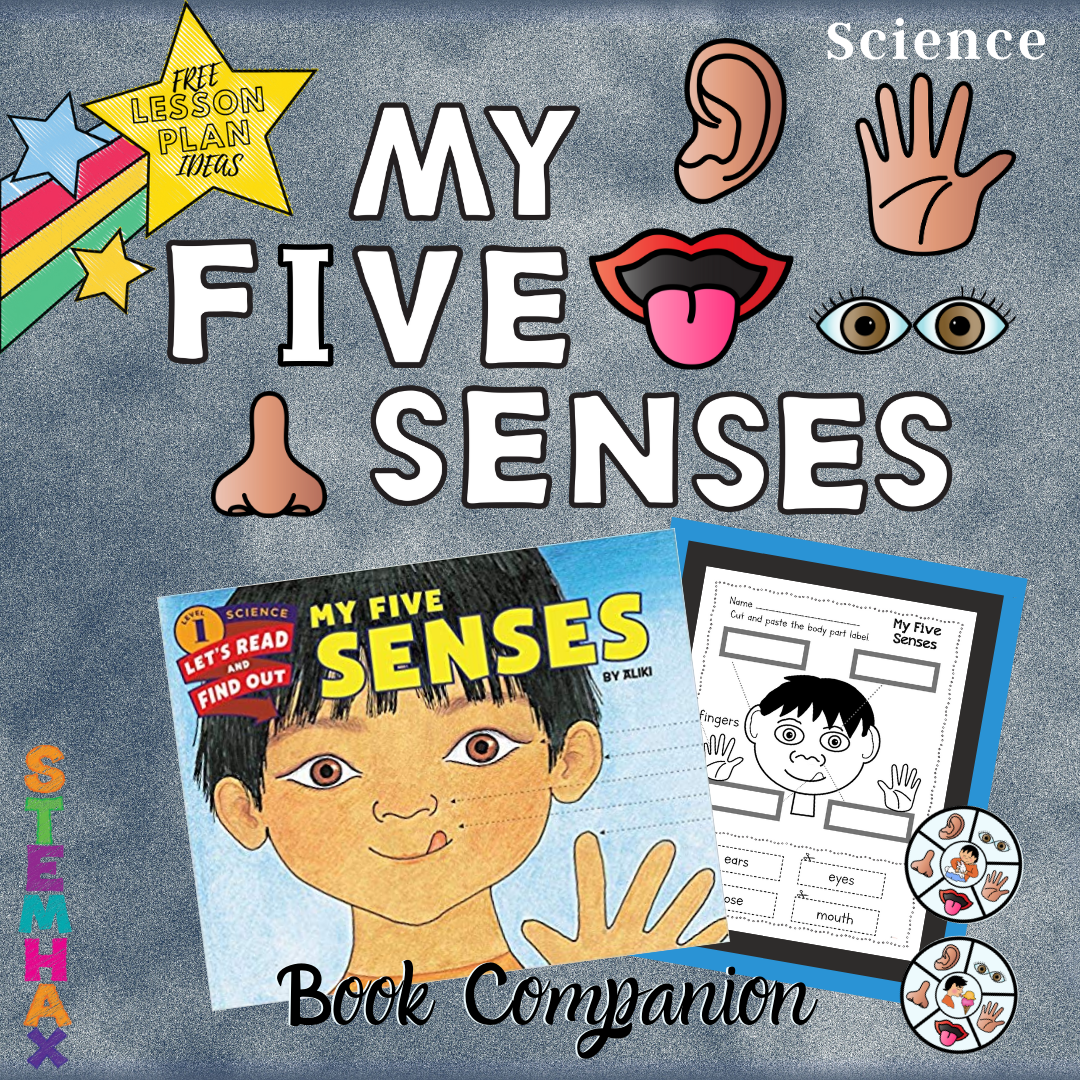Five Senses Stemhax